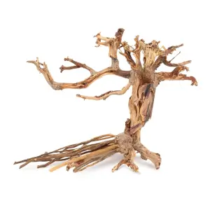 Drzewka Bonsai - Korzenie bonsai – drzewka do akwarium i aquascapingu
Korzenie bonsai to jedne z najefektowniejszych dekoracji do akwarium ro�linnego. Ka�dy egzemplarz powstaje z naturalnych, drobnych korzeni ��czonych w kszta�t miniaturowego drzewa – z roz�o�yst� podstaw� imituj�c� sys...