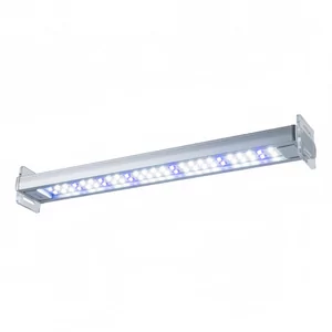 100cm d�ugo�ci - Lampy akwariowe 100cm d�ugo�ci to kategoria o�wietlenia LED dedykowanego dla akwari�w o d�ugo�ci od 90 do 110 centymetr�w. Te zaawansowane lampy LED zosta�y zaprojektowane z my�l� o profesjonalnej hodowli ro�lin akwariowych oraz optymalnym wybarwieniu ryb i krewetkek.

Kluczowe zalety lam...