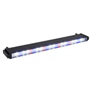80cm d�ugo�ci - Lampy akwariowe 80cm d�ugo�ci to o�wietlenie LED dedykowane do akwari�w o wymiarach zbli�onych do 80 centymetr�w. Te profesjonalne systemy �wietlne stanowi� podstaw� ka�dej udanej aranzacji akwarium, zapewniaj�c ro�linom odpowiednie warunki do fotosyntezy oraz rybom i krewetkOM naturalne wyb...