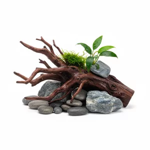 Dekoracje, korzenie i kamienie - 
Naturalne ozdoby do akwarium - kamienie (ska�y), korzenie (drewno) oraz specjalistyczne piaski i �wiry do aquascapingu, kt&oacute;re pozwol� Ci doda� detale do Twojej aran�acji akwarium czyni�� j� wyj�tkow� i wznosz�c j� na kolejny poziom. W tej kategorii znajdziesz r&...
