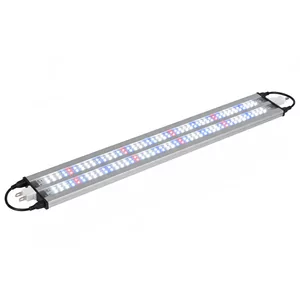 Do pokryw 120cm - Belki LED do pokryw 120cm to specjalistyczne o�wietlenie zaprojektowane do monta�u wewn�trz pokryw akwariowych o d�ugo�ci oko�o 120 centymetr�w. Te kompaktowe lampy LED stanowi� idealne rozwi�zanie dla akwaryst�w, kt�rzy chc� zachowa� estetyk� zamkni�tego zbiornika, jednocze�nie zapewniaj�c ro�li...