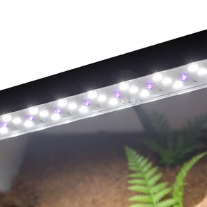 O�wietlenie - O�wietlenie do terrarium i paludarium to kluczowy element zapewniaj�cy odpowiednie warunki �ycia dla gad�w, p�az�w i ro�lin. W�a�ciwie dobrane lampy terrarystyczne nie tylko o�wietlaj� przestrze�, ale tak�e dostarczaj� niezb�dne promieniowanie UVB oraz ciep�o potrzebne do prawid�owego metabolizmu...