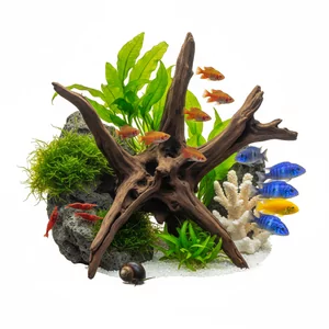 Pochodzenie (biotop) - Podzia� ro�lin ze wzgl�du na wyst�powanie w warunkach naturalnych (pochodzenie) oraz mo�liwo�� zastosowania w akwariach biotopowych przygotowanych pod konkretne ryby.