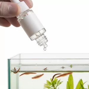 Preparaty na wyp�awki (planaria)