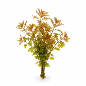 Proserpinaca - Proserpinaca &ndash; wyj�tkowa ro�lina �odygowa o z�bkowanych li�ciach
Proserpinaca palustris&nbsp;to efektowna ro�lina �odygowa pochodz�ca z Ameryki P&oacute;�nocnej. Jej najwi�ksz� ozdob� s� z�bkowane, pierzaste li�cie, kt&oacute;re w warunkach podwodnych przybieraj� intensywny odcie� cz...