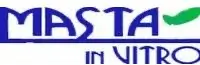 Masta - logo producenta Masta - logo producenta