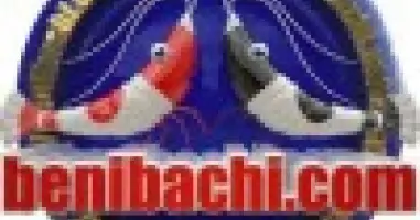 Benibachi - logo producenta Benibachi - logo producenta