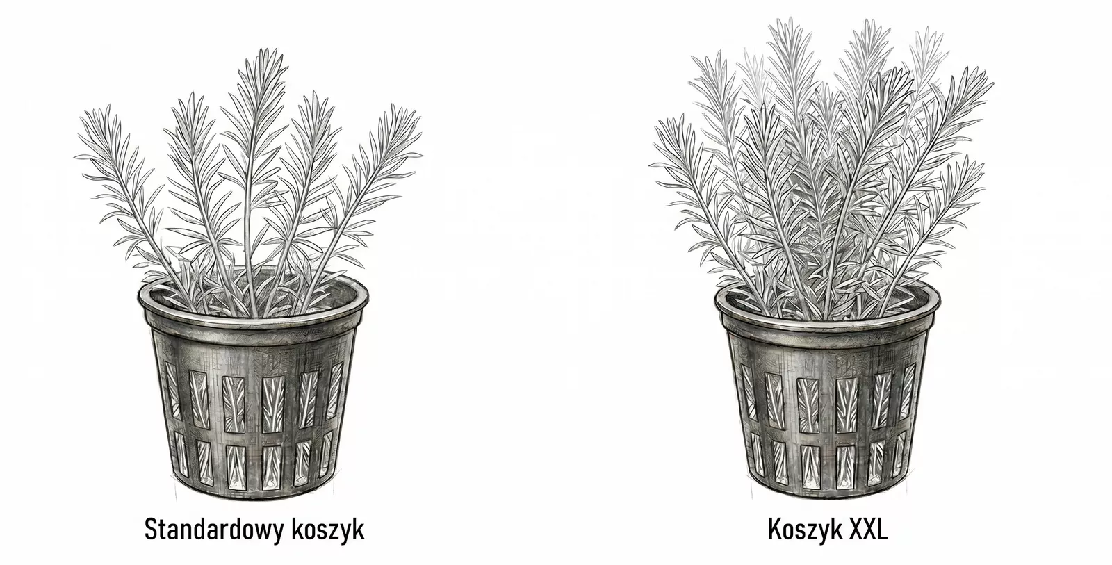 Por�wnanie standardowego koszyka akwariowego z koszyczkiem XXL