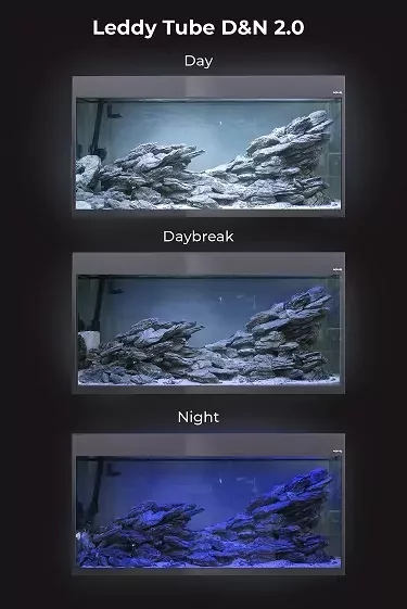 O�wietlenie night and day