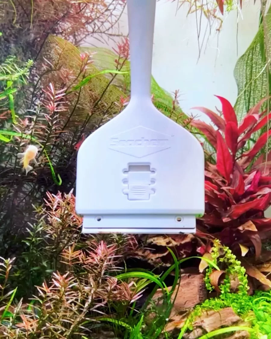 Seachem Algae Scraper [31cm] - czy�cik do szyb