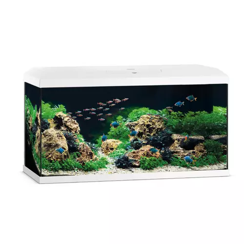 Akwarium Juwel Primo 110 LED 2.0 bia�e