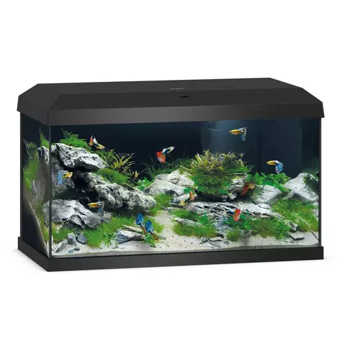 Akwarium Juwel Primo 60 LED 2.0 czarne