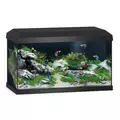 Akwarium Juwel Primo 60 LED 2.0 czarne