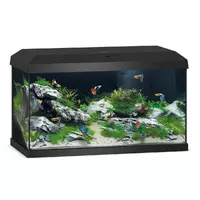 Akwarium Juwel Primo 60 LED 2.0 czarne