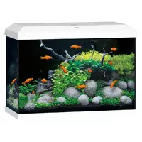 Akwarium Juwel Primo 70 LED 2.0 białe