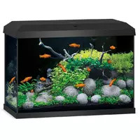 Akwarium Juwel Primo 70 LED 2.0 czarne