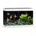 Akwarium Juwel Rio 290 LED bia�e