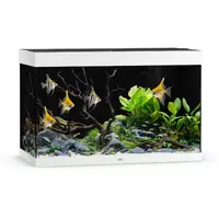 Akwarium Juwel Rio 290 LED bia�e