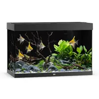 Akwarium Juwel Rio 290 LED czarne