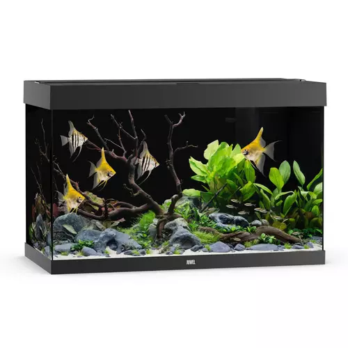 Akwarium Juwel Rio 290 LED czarne