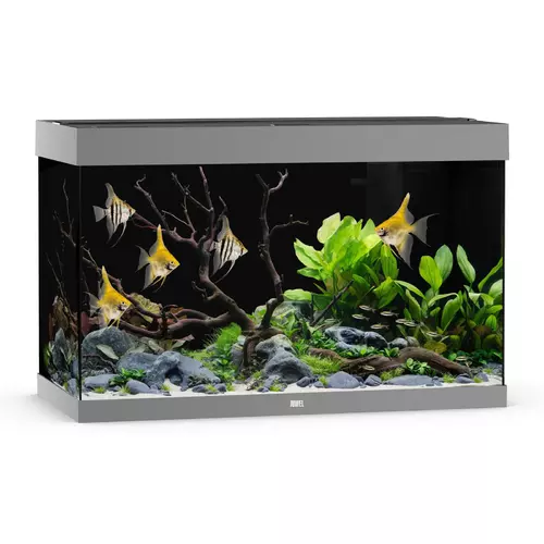 Akwarium Juwel Rio 290 LED szare