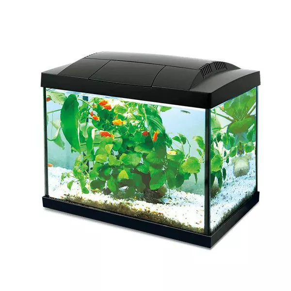 Akwarium K20 Hailea, 20l czarne