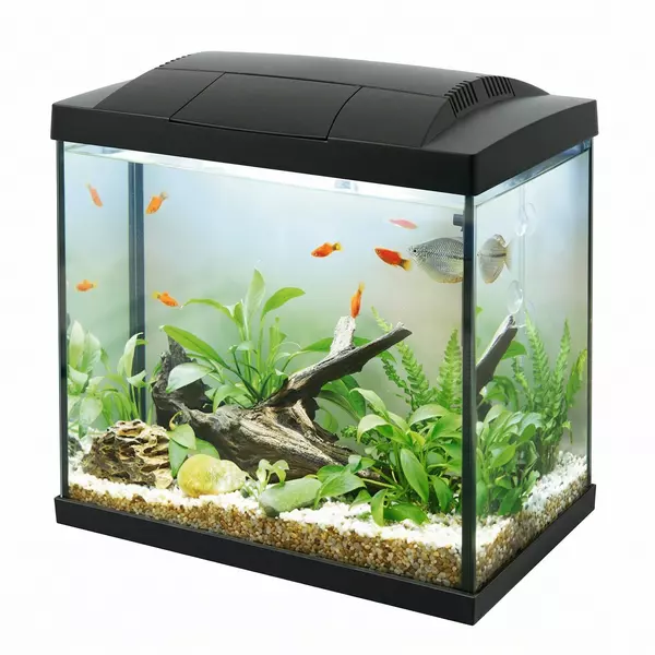 Akwarium K30 Hailea, 30l czarne