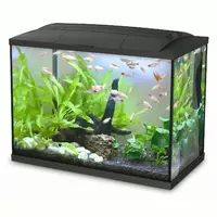 Akwarium K60 Hailea, 60l czarne