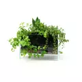 Akwarium Levitate Natural PURE [30x18x12cm]