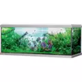 Akwarium MOVE Bia�e 160x60x64cm 576 litr�w (AQ)