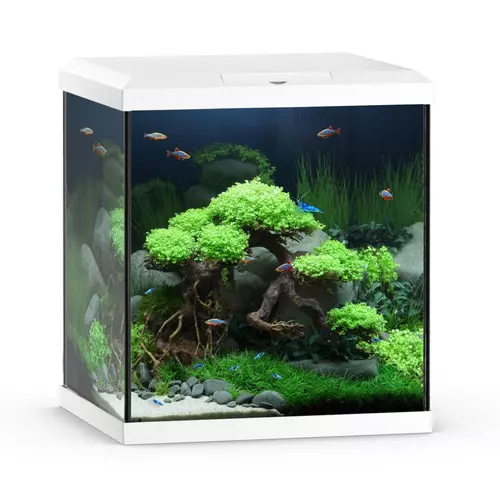 Akwarium Vio Cube 54 bia�e