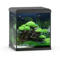 Akwarium Vio Cube 54 czarne