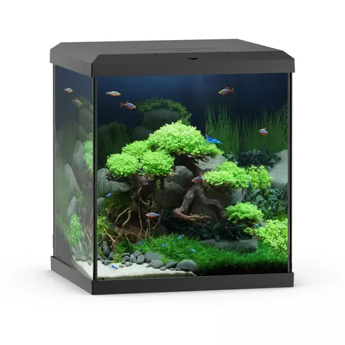 Akwarium Vio Cube 54 czarne