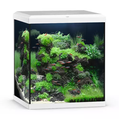 Akwarium Vio Cube 80 bia�e