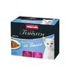 AN VF RAFFINESSE KITTEN 8x85g MIXPACK