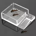 Ant Expert Ant Feeder - karmnik dla mr�wek