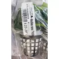 Anubias Petite - RA koszyk XXL
