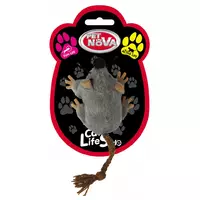 Aqua Nova CAT-MOUSE-GR-7