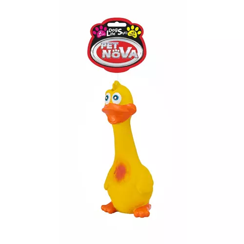 Aqua Nova LATEX-DUCK