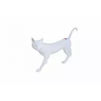 Aqua Nova MODEL-CAT