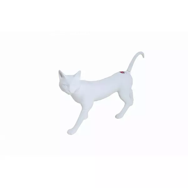 Aqua Nova MODEL-CAT