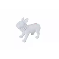 Aqua Nova MODEL-DOG-1