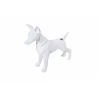Aqua Nova MODEL-DOG-2
