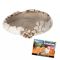 Aqua Nova REP-DISH-DINOEGG