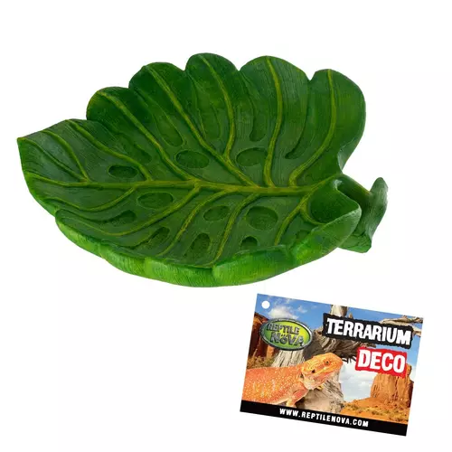 Aqua Nova REP-DISH-LEAF