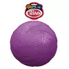 Aqua Nova Rub-Disc-Violet-22cm