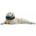Aqua Nova VET-AIRCOLLAR-XL