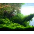Aqua Rebell MAKRO BASIC Estimative Index [1000ml] - naw�z makroelementowy