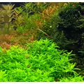 Aqua Rebell MAKRO BASIC Estimative Index [500ml] - naw�z makroelementowy