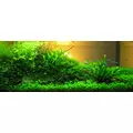 Aqua Rebell MAKRO BASIC Kalium [500ml] - naw�z potasowy